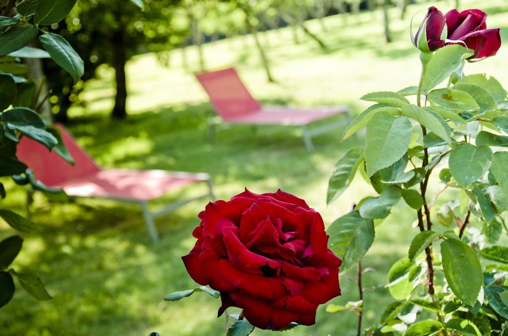 Pazo De Andeade Guest House ภายนอก รูปภาพ